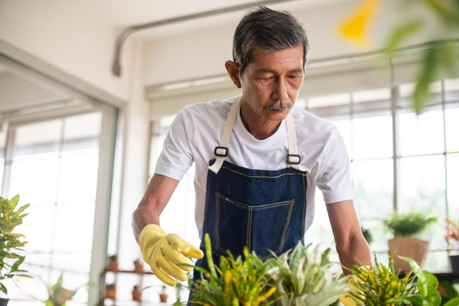 homem jardineiro sênior feliz cuidando de suas plantas em estufa. foto