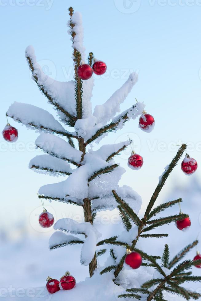 bolas de natal no pinheiro foto