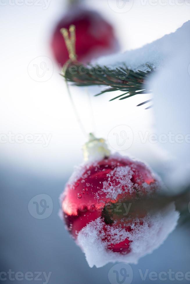 bolas de natal no pinheiro foto