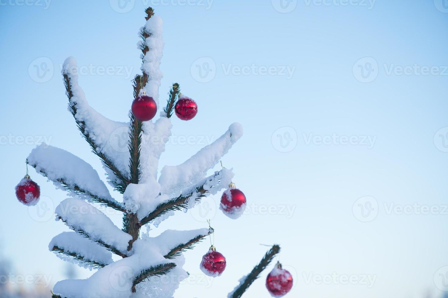 bolas de natal na árvore foto