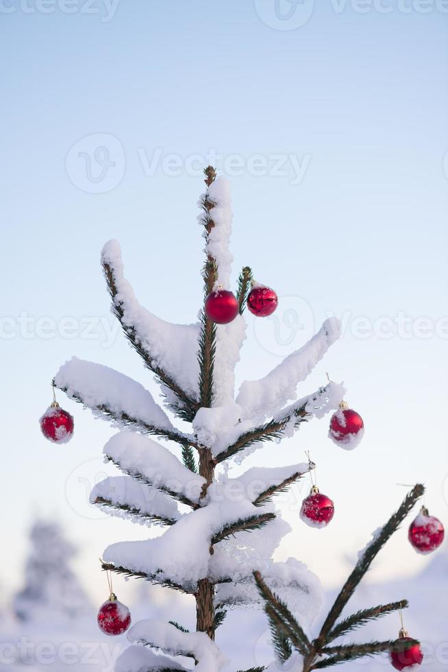 bolas de natal no pinheiro foto