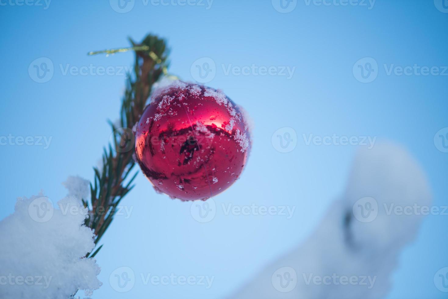 bolas de natal na árvore foto