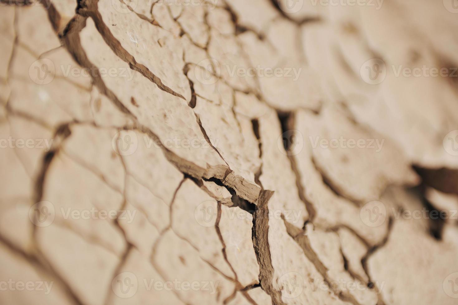 fundo de terra seca foto