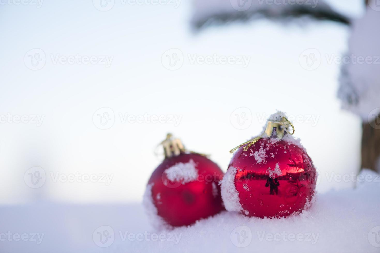 bolas de natal no pinheiro foto