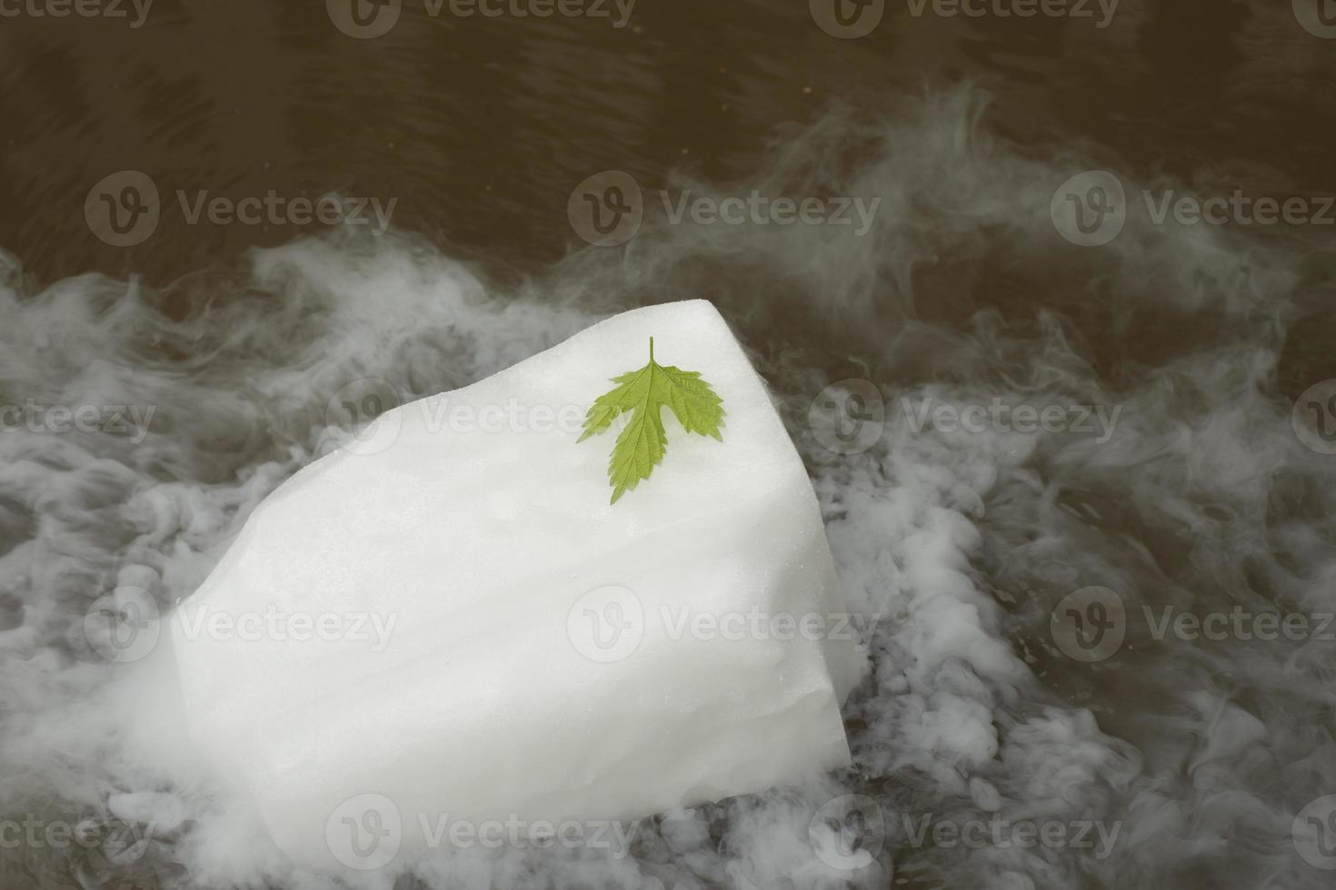 folha verde em um bloco de gelo branco. folha e gelo seco. foto