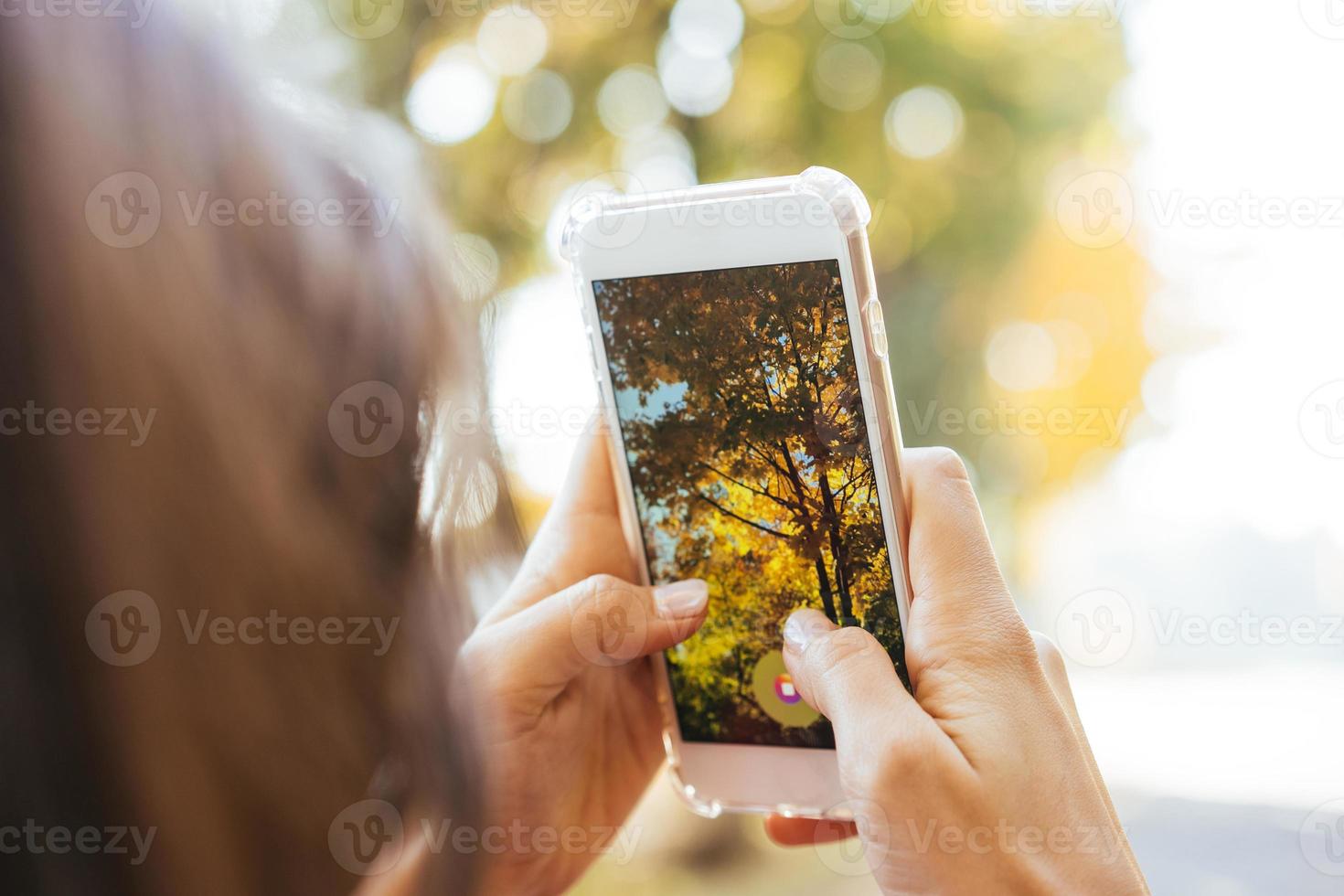 mulher tira uma foto de uma árvore de outono em uma rua