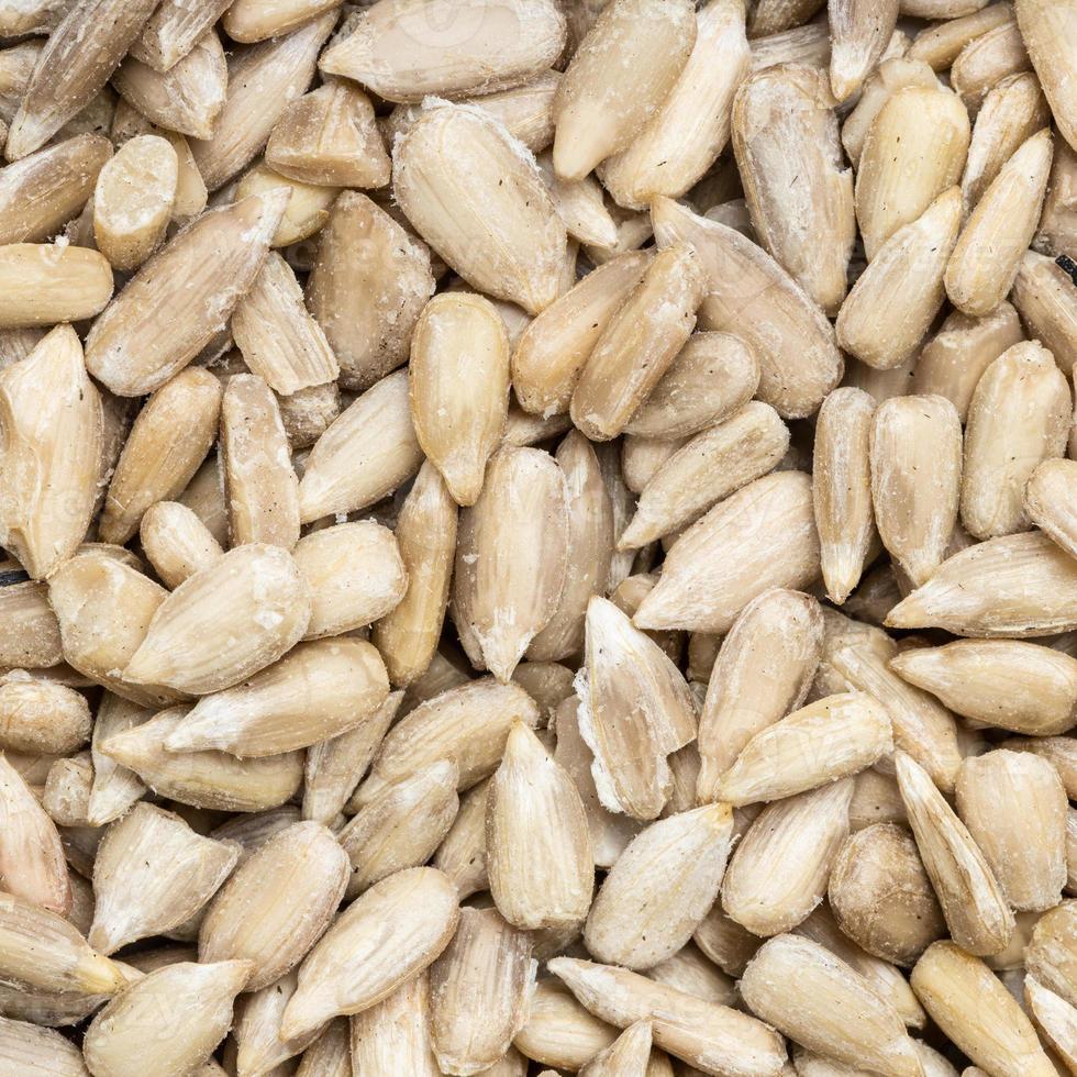 sementes de girassol descascadas close-up foto