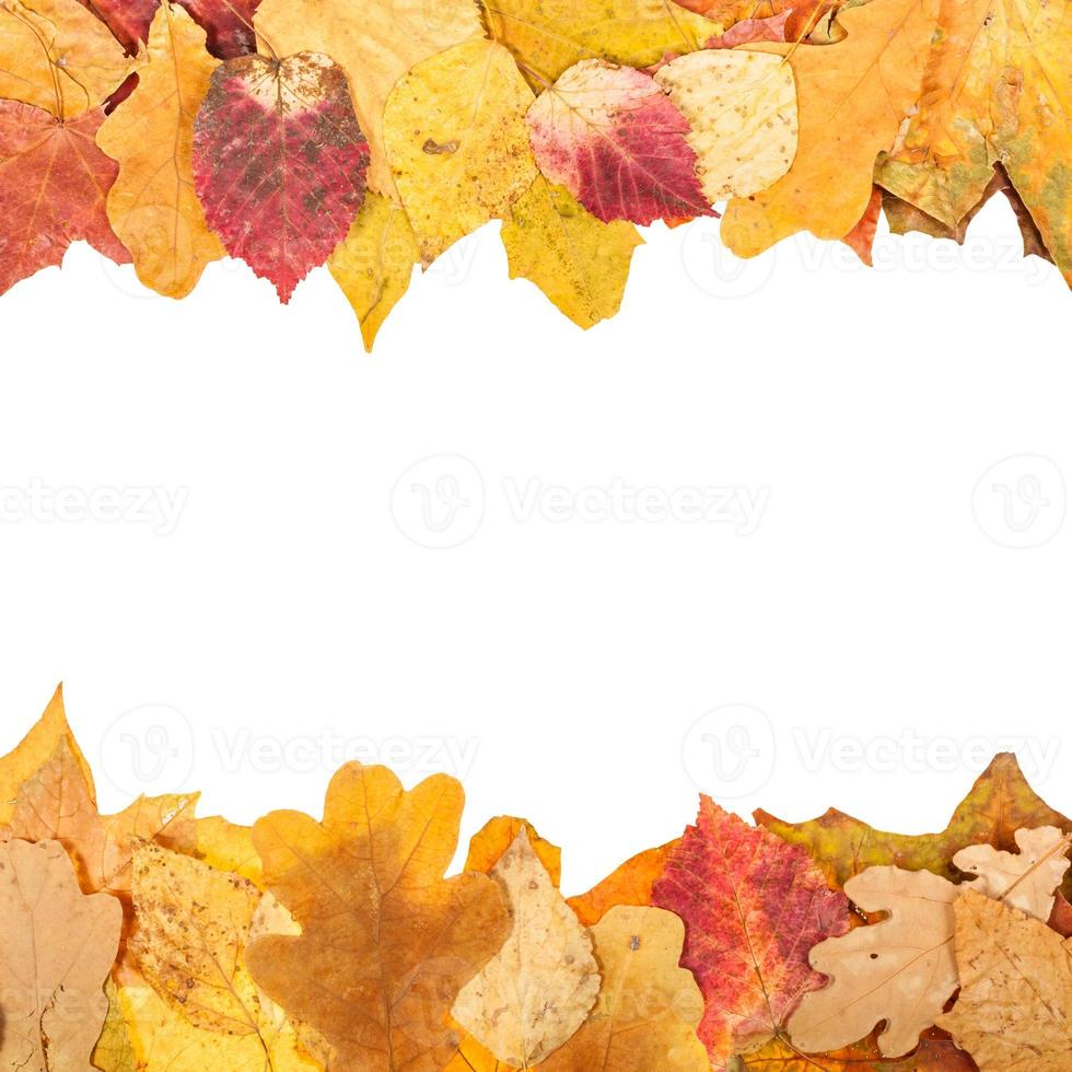 quadros superiores e inferiores de folhas de outono foto