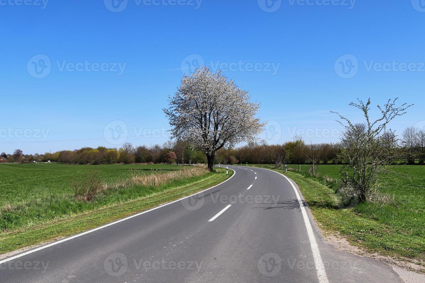 bela vista em estradas rurais com campos e árvores no norte da europa foto