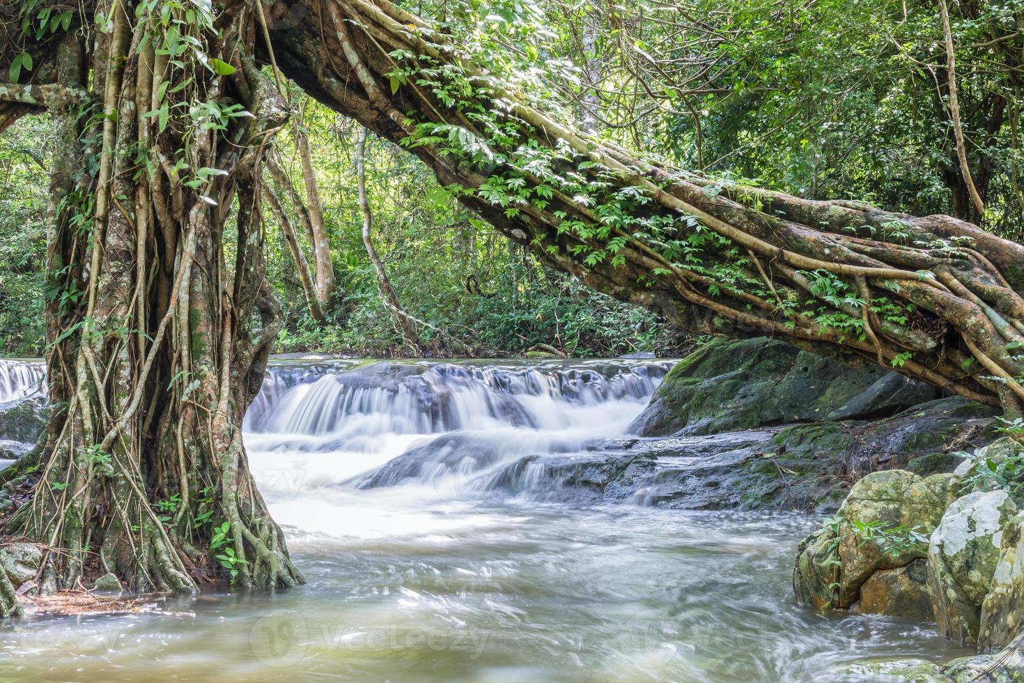 cachoeira de jedkod no parque nacional de khao yai, tailândia foto