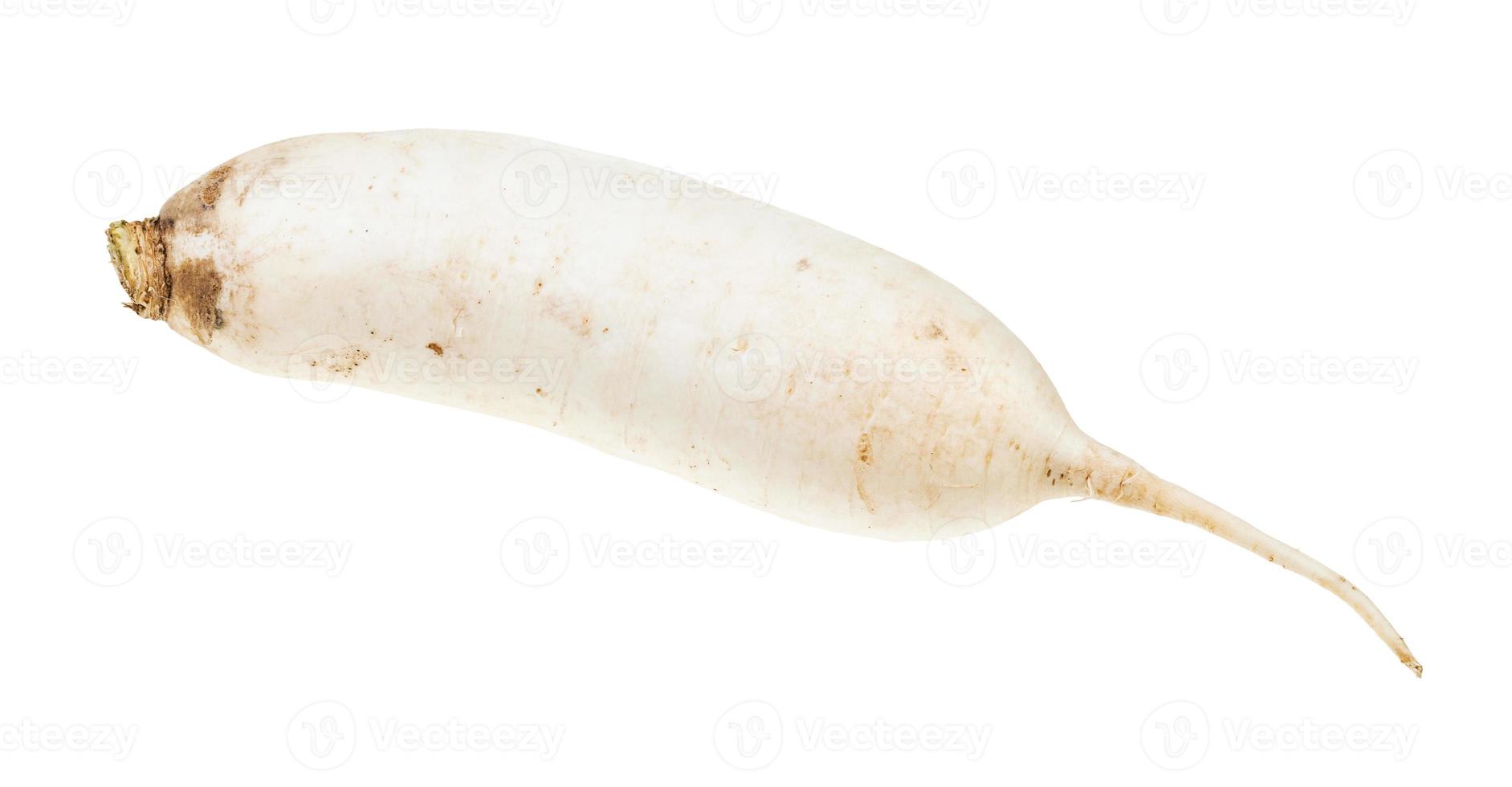 raiz fresca de rabanete branco longo daikon isolado foto