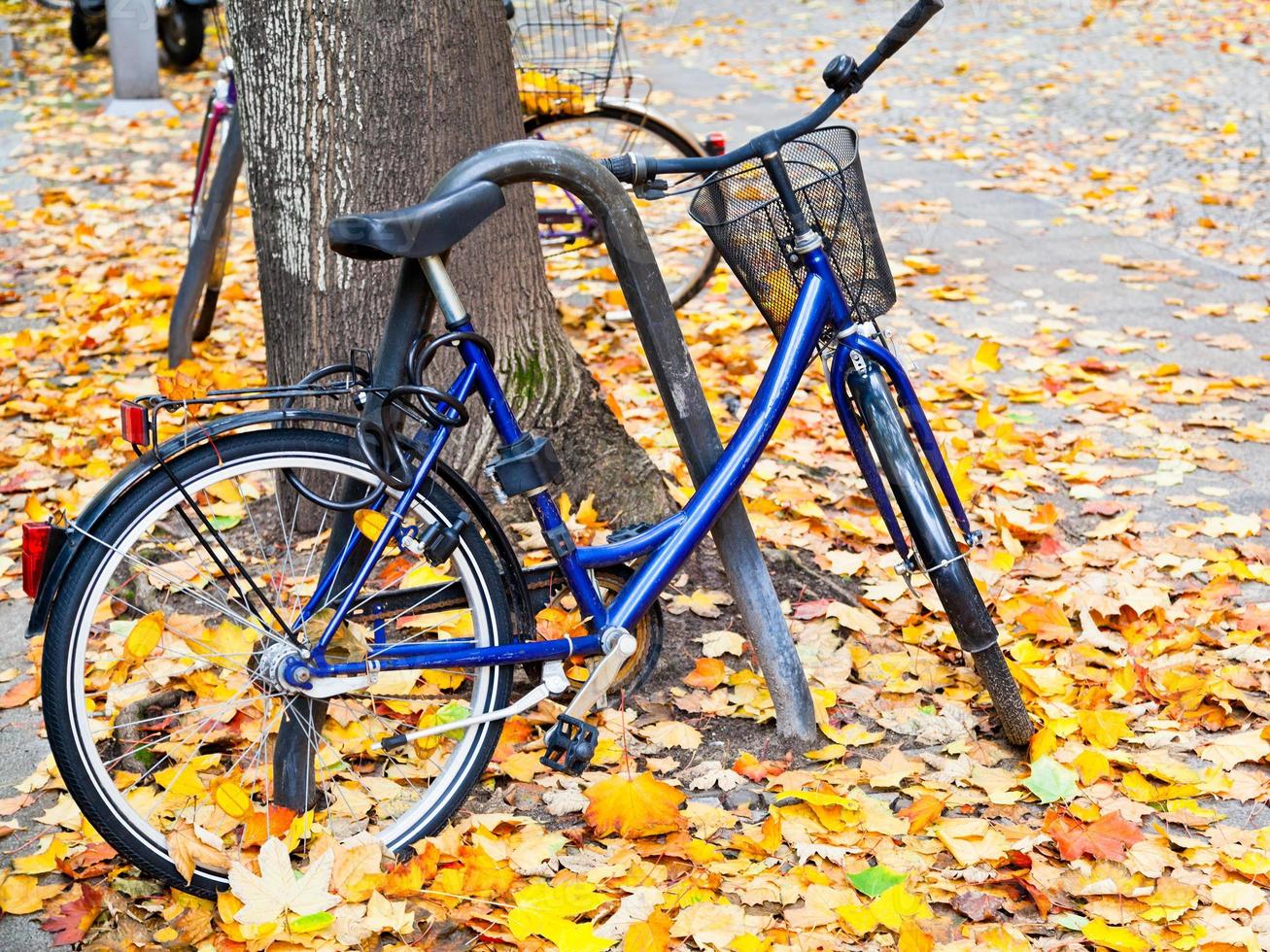 bicicleta estacionada na rua com folhas caídas foto