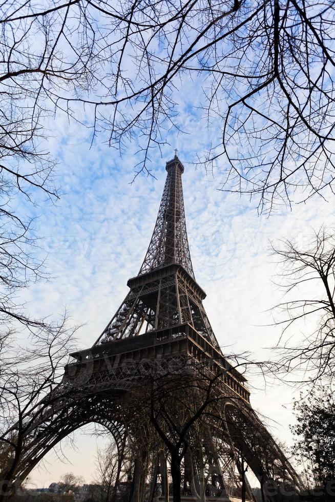 torre eiffel e galhos de árvores em paris foto