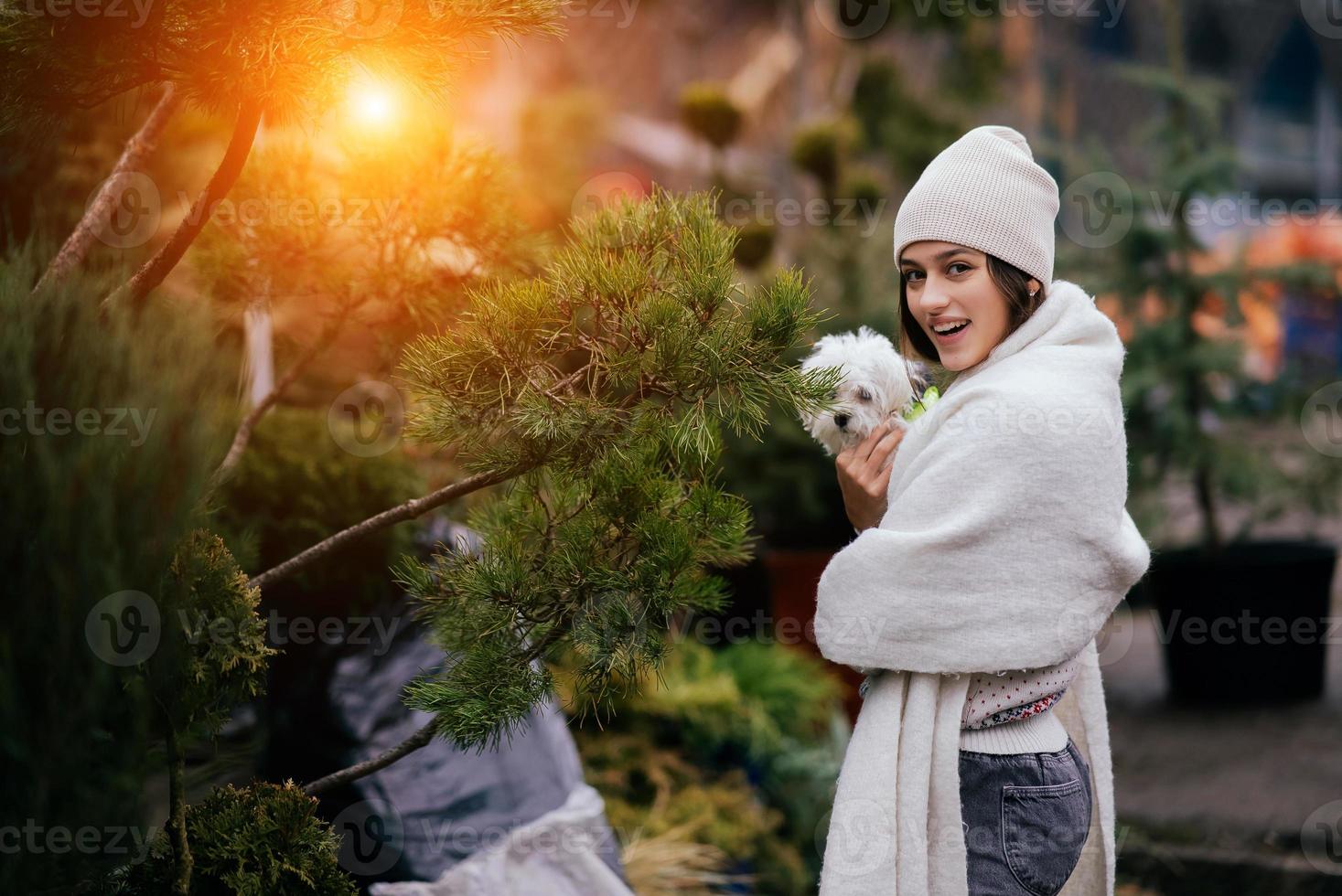 mulher com um cachorro branco nos braços perto de árvores de natal verdes foto