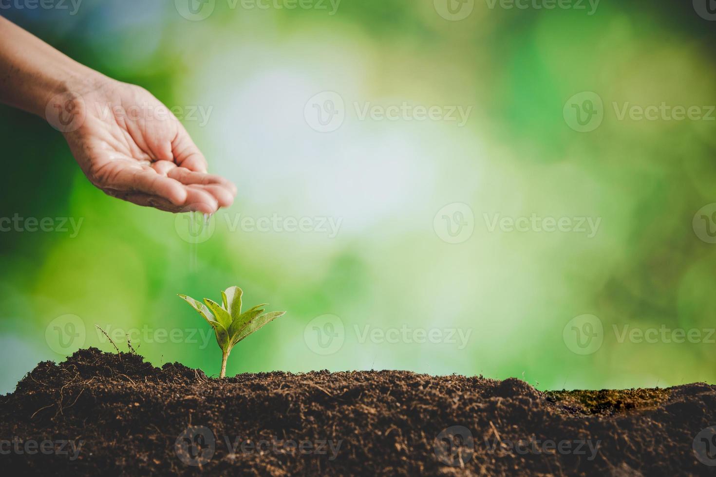 mãos sujas cuidam de árvores de plantas na terra no dia mundial do meio ambiente. jovem pequeno crescimento verde nova vida no solo na natureza ecologia. pessoa humana cresce mudas e protege no jardim. conceito de agricultura foto