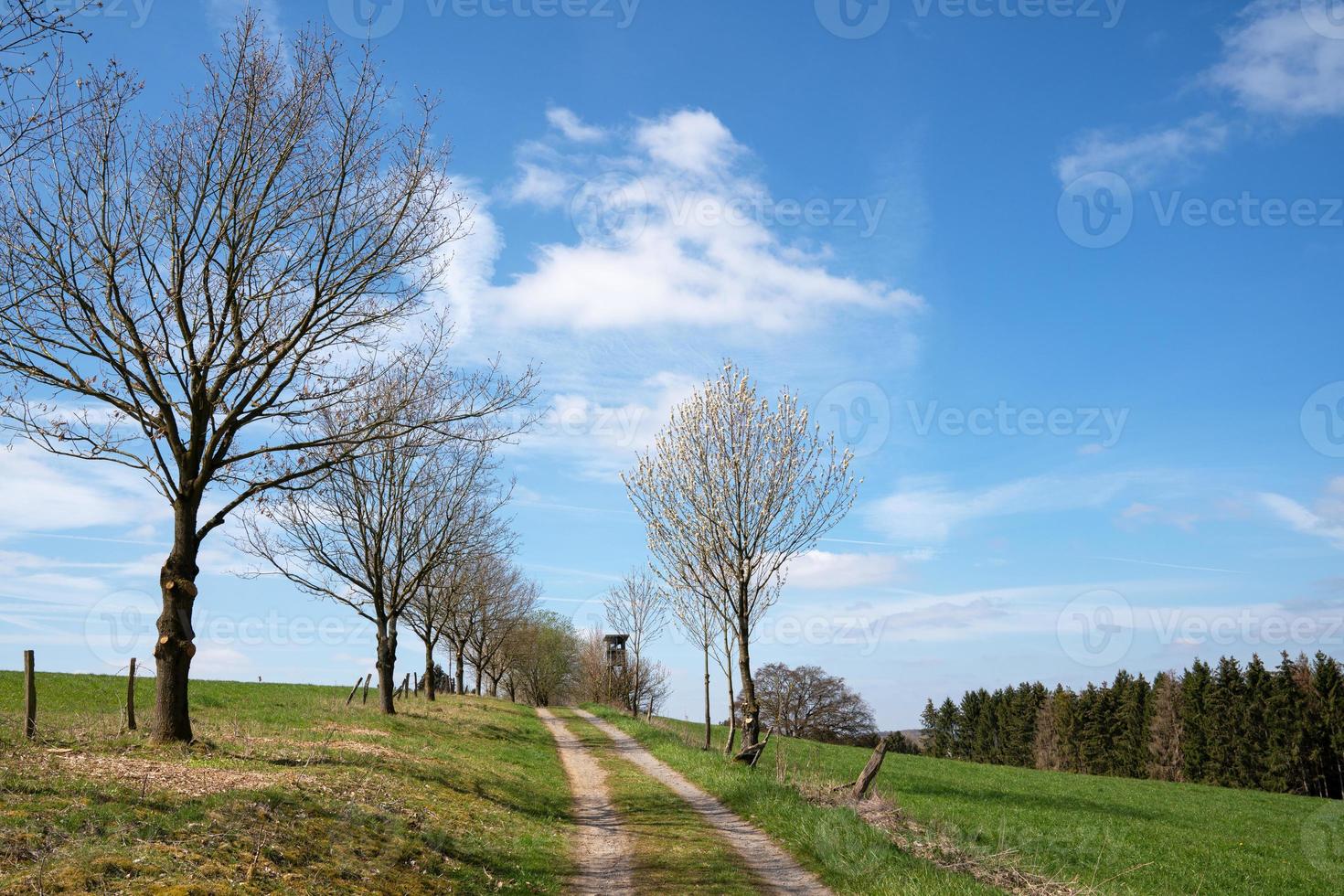 Deerstand, bergisches land, Alemanha foto