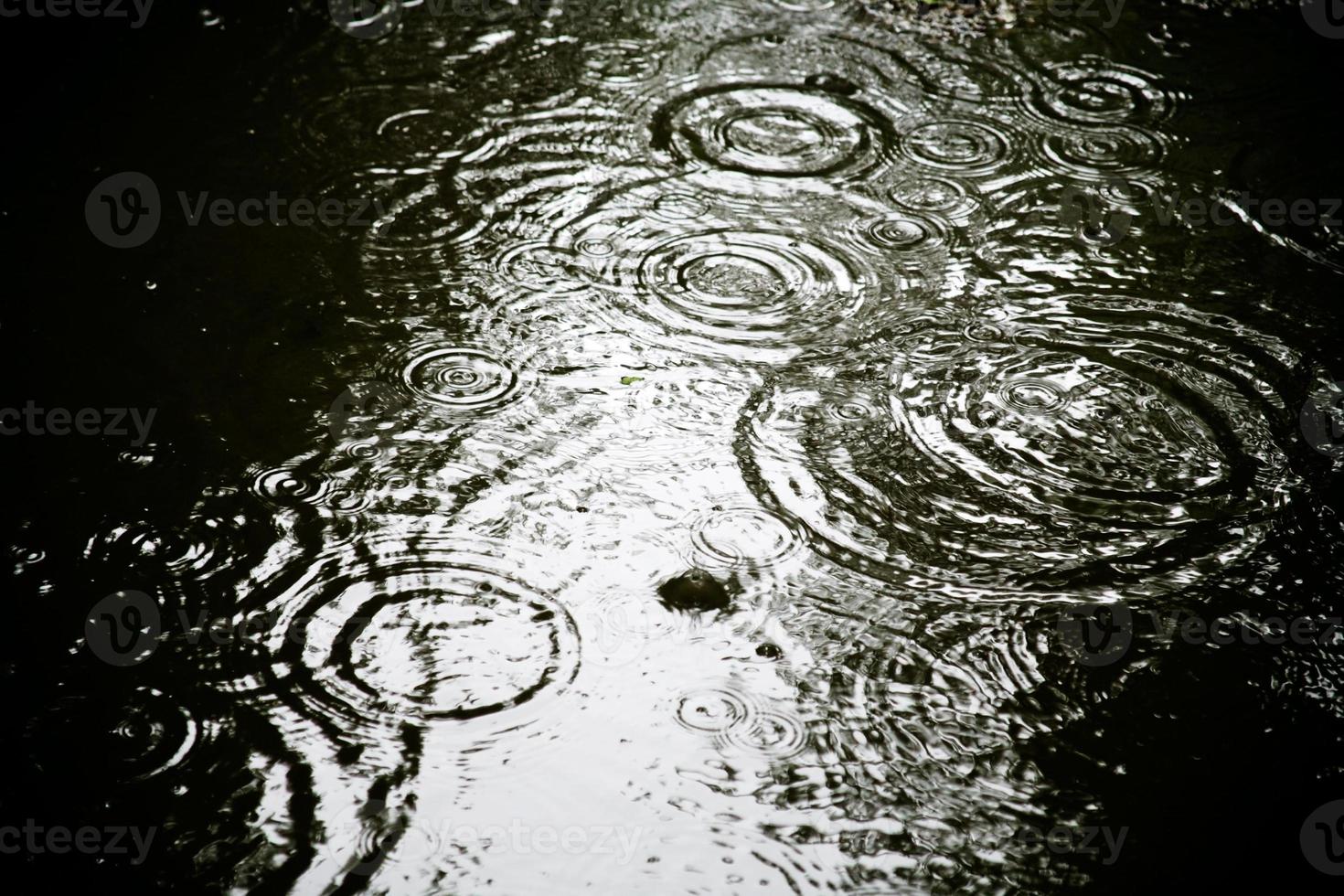 círculo de chuva na poça foto