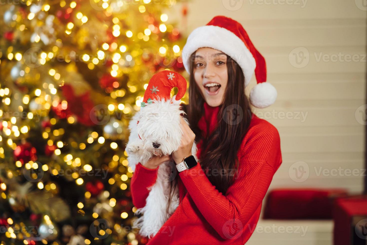 menina segurando um cachorrinho nos braços na véspera de ano novo foto