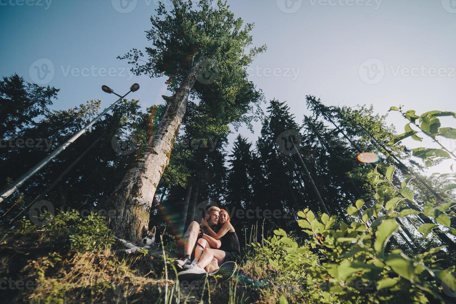 lindo casal sentado em uma floresta perto da árvore foto
