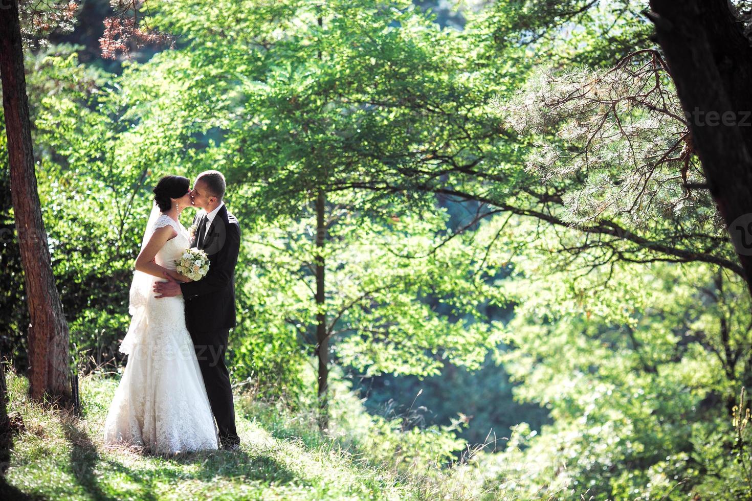 lindo casal beijando em uma maravilhosa floresta de pinheiros foto