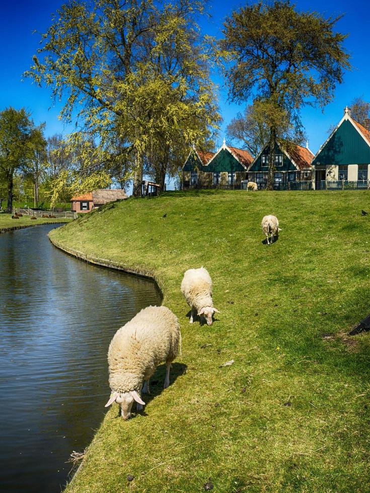 enkhuizen, países baixos, cidade de 2017-enkhuizen nos países baixos foto