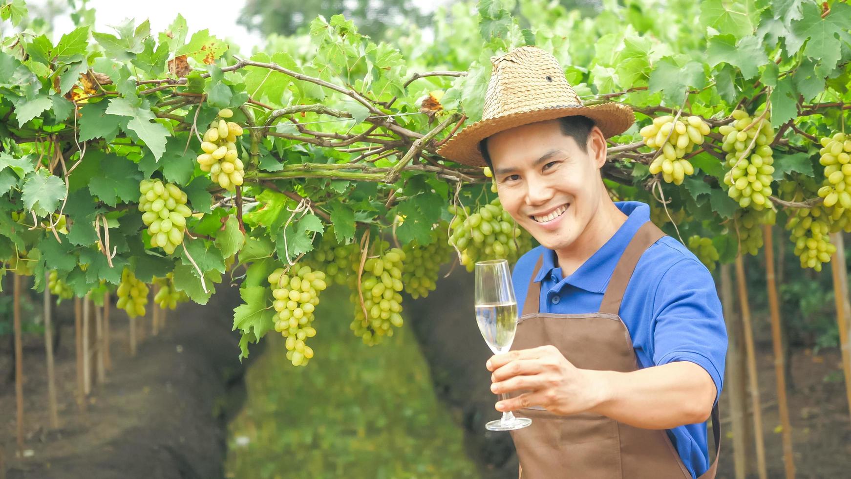 agricultor feliz segurando um copo de vinho no vinhedo. foto