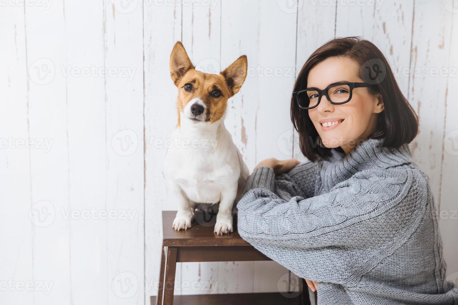 foto de adorável fêmea satisfeita feliz usa óculos e suéter quente solto, fica perto de seu cachorro favorito que se senta na cadeira, olha para a câmera, vai passear ao ar livre. pessoas e animais de estimação.