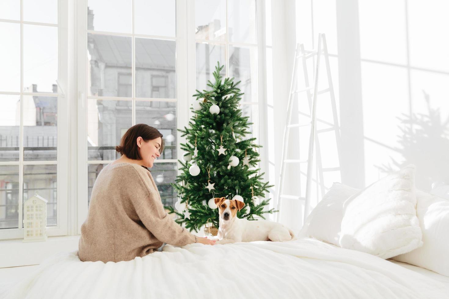 mulher alegre morena carinhosa em jumper de grandes dimensões gosta de tempo com cachorro favorito, pose contra a atmosfera doméstica, sente-se na cama branca, árvore de natal decorada no fundo. conceito de férias de inverno foto