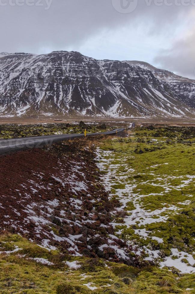 imagem vertical de lava coberta de musgo na fronteira com uma estrada na Islândia. foto