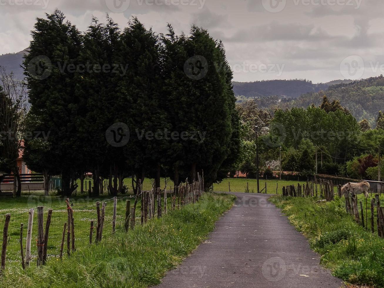 caminho para lugar nenhum foto