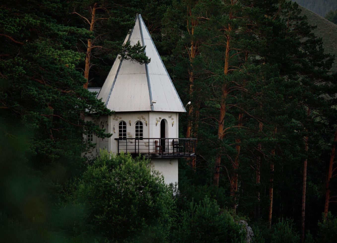 torre branca contra uma floresta escura foto