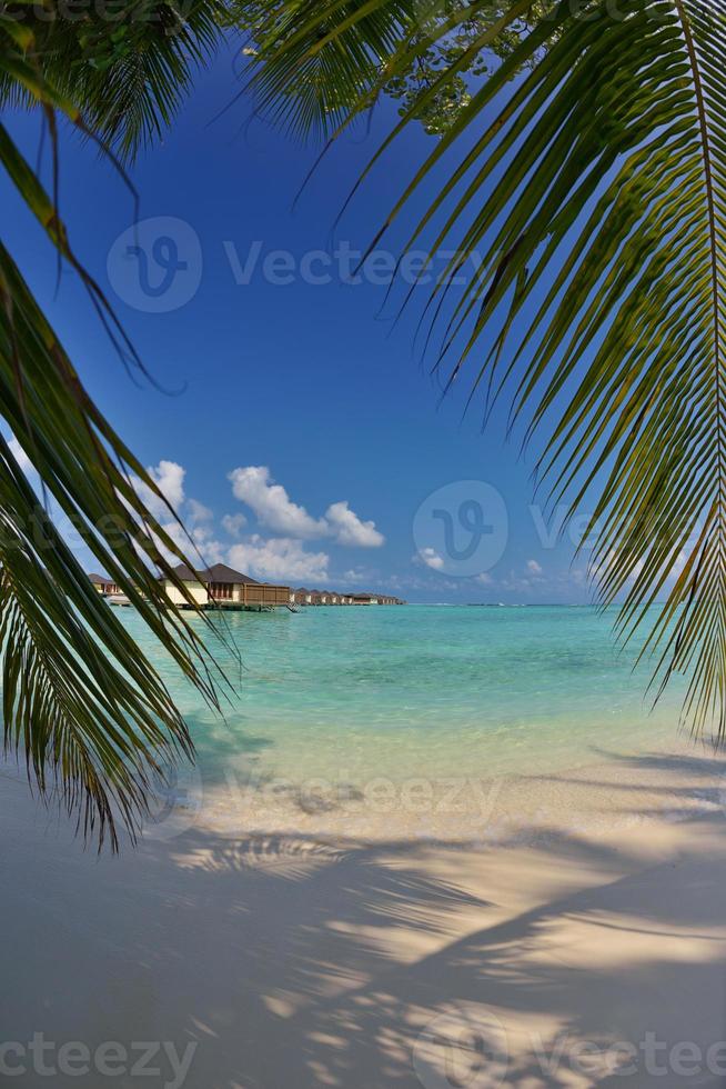 vista da praia tropical foto