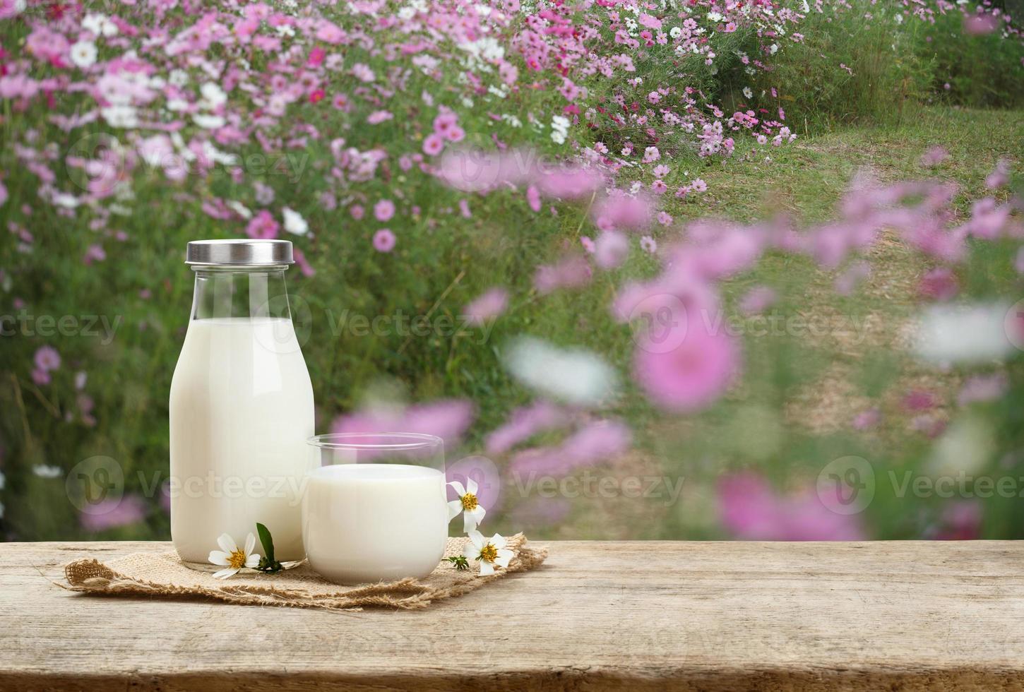 uma garrafa de leite rústico e um copo de leite em uma mesa de madeira no fundo do jardim de flores, saboroso, nutritivo e saudável foto