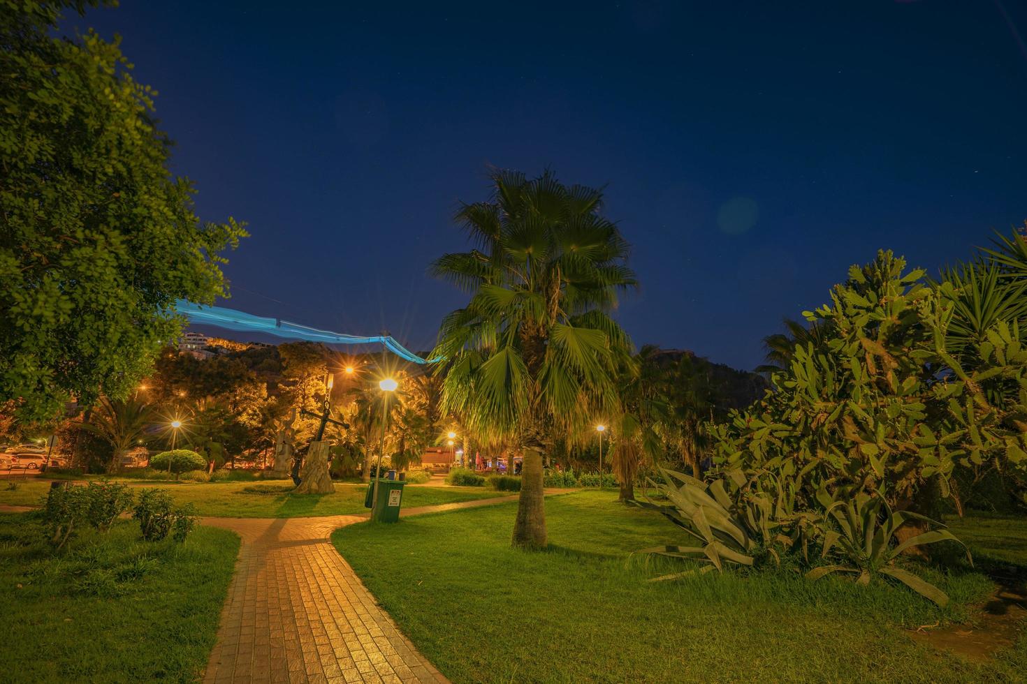 parque tranquilo da noite com luzes de rua, árvores, grama verde e caminho. foto