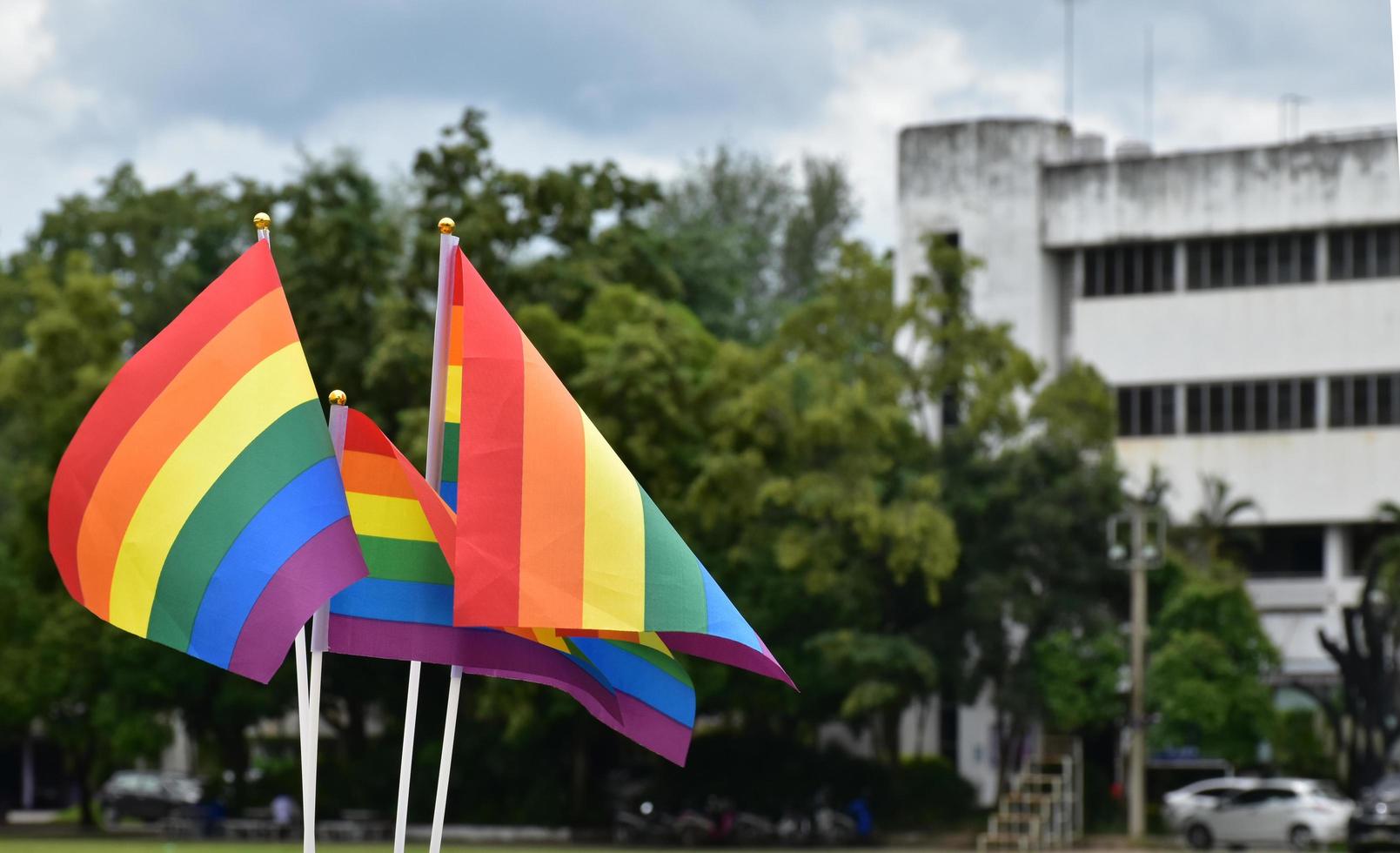 bandeiras do arco-íris, símbolo da diversidade de gênero lgbt, mostrando na frente da quadra de grama do recreio da escola, fundo desfocado do edifício, conceito para celebrações lgbt no mês do orgulho, junho, em todo o mundo. foto