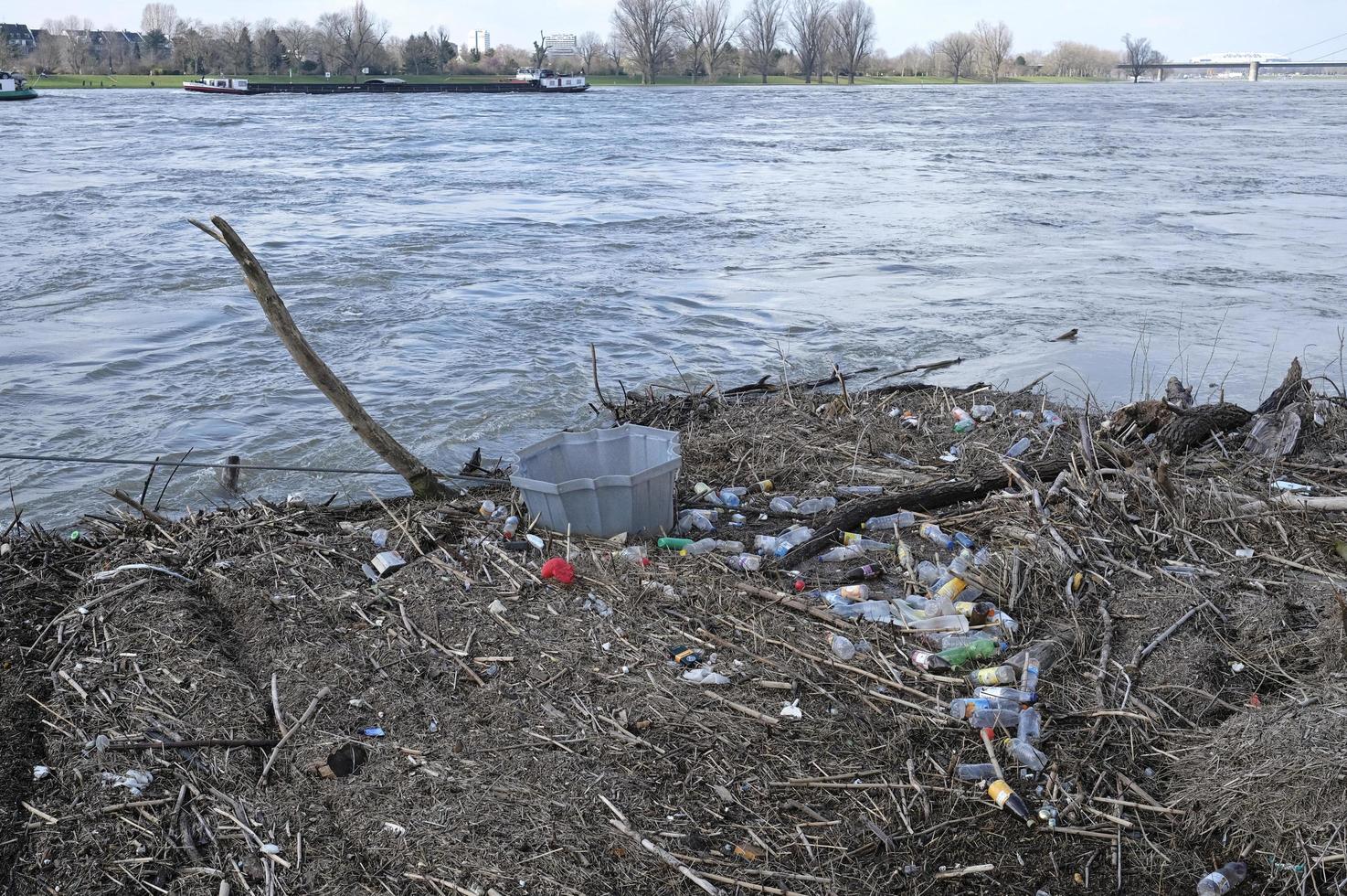 duesseldorf, alemanha, 2020 - detritos e lixo no rio Reno durante a maré alta em duesseldorf, alemanha foto