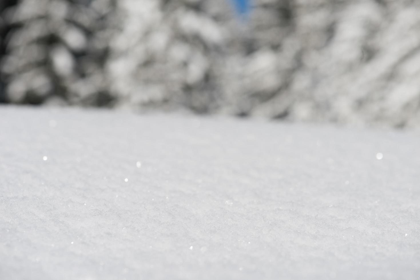 fundo de neve de inverno foto