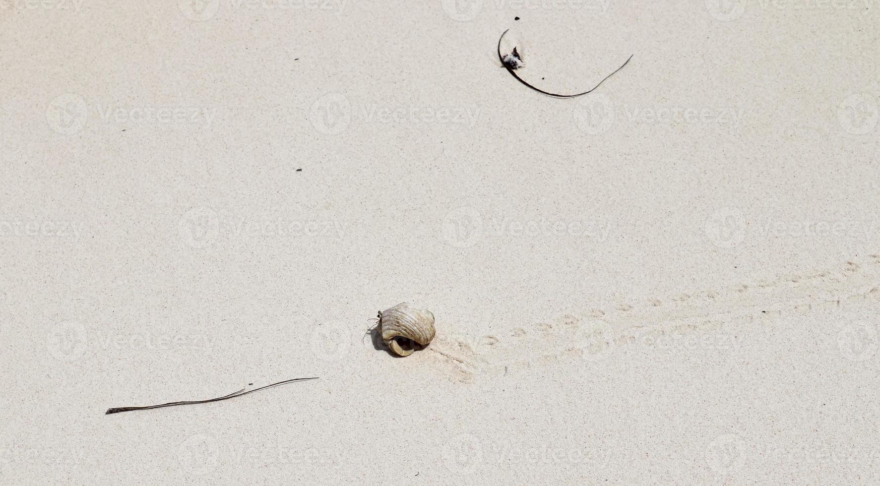 belas fotos da areia branca da praia na ilha paradisíaca de seychelles com pegadas