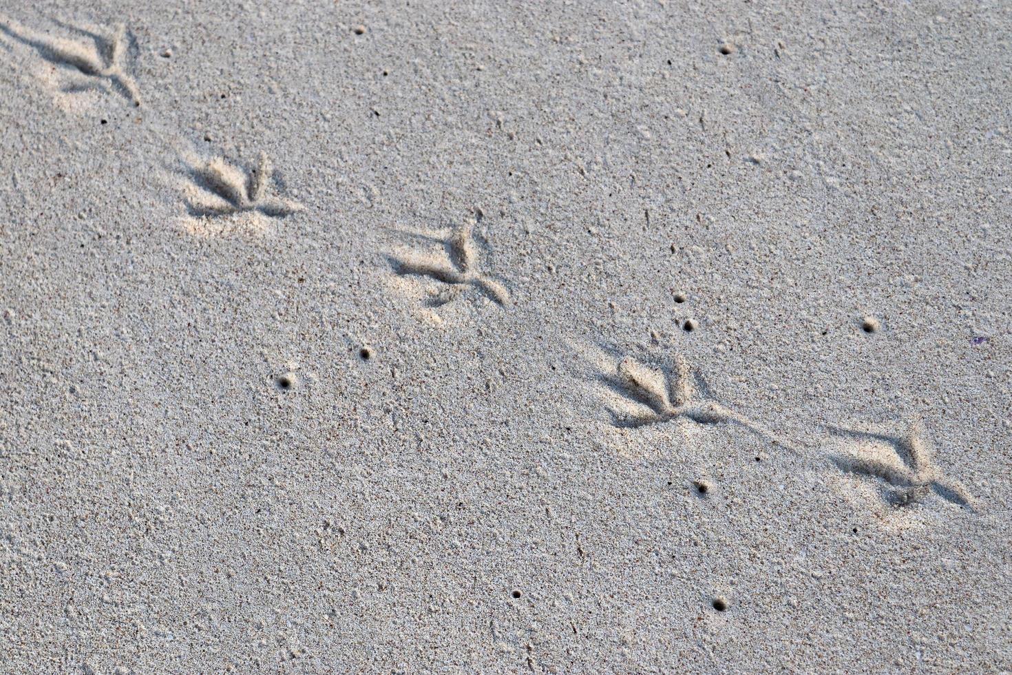 belas fotos da areia branca da praia na ilha paradisíaca de seychelles com pegadas