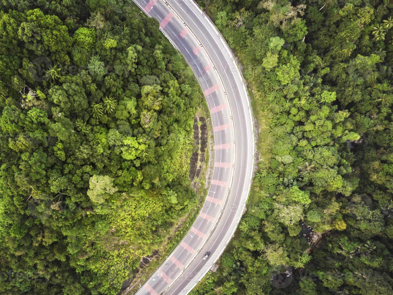 vista aérea de estrada e floresta foto