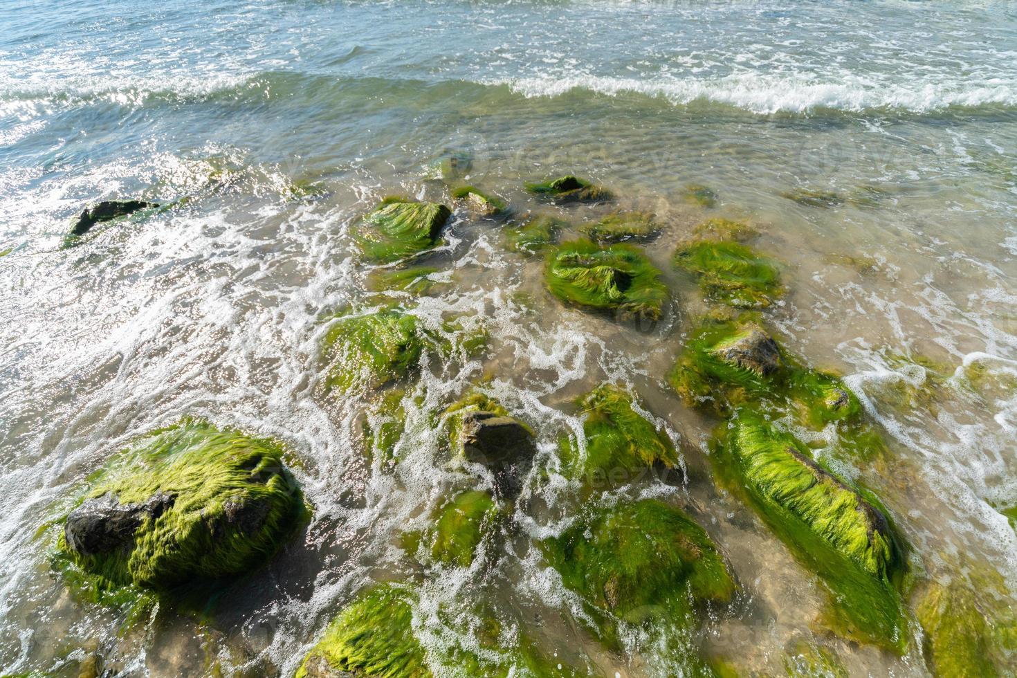 furo de maré do mar. ondas quebram em pedras cobertas de musgo e algas. bela paisagem marinha. foto