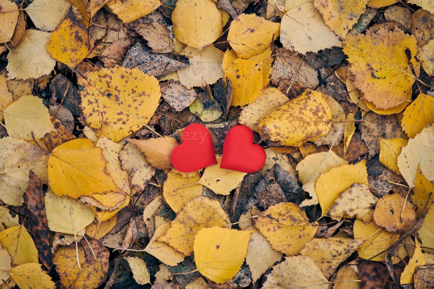 conceito de amor ou amizade foto