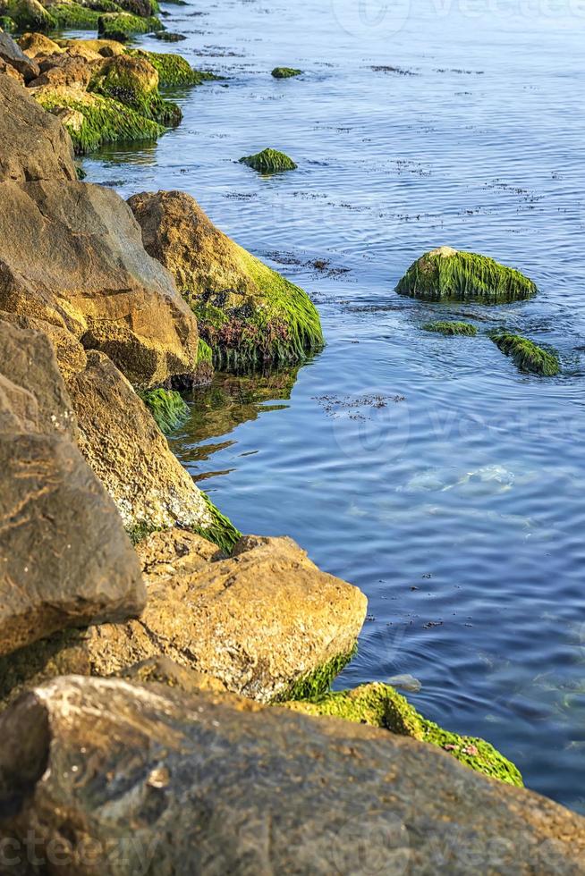 beleza e costa rochosa do mar calmo com musgo verde nas pedras. foto