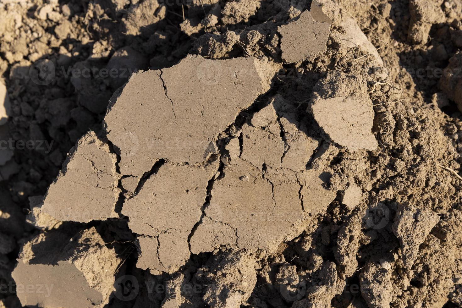 um campo arado com solo fértil para atividades agrícolas foto