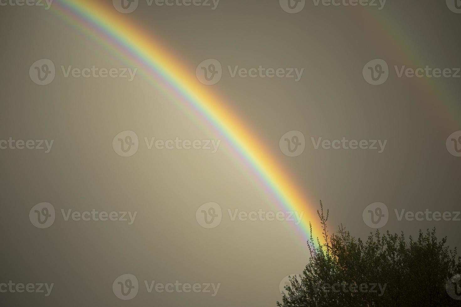 arco-íris no céu. tempo bonito. decomposição da luz em cores. foto