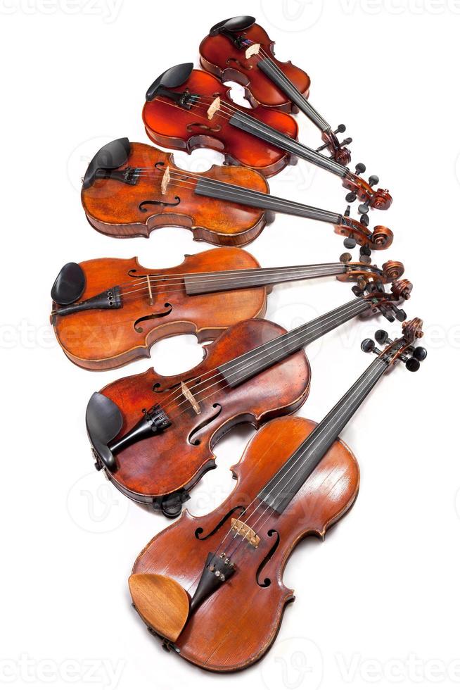 violinos de tamanhos diferentes foto