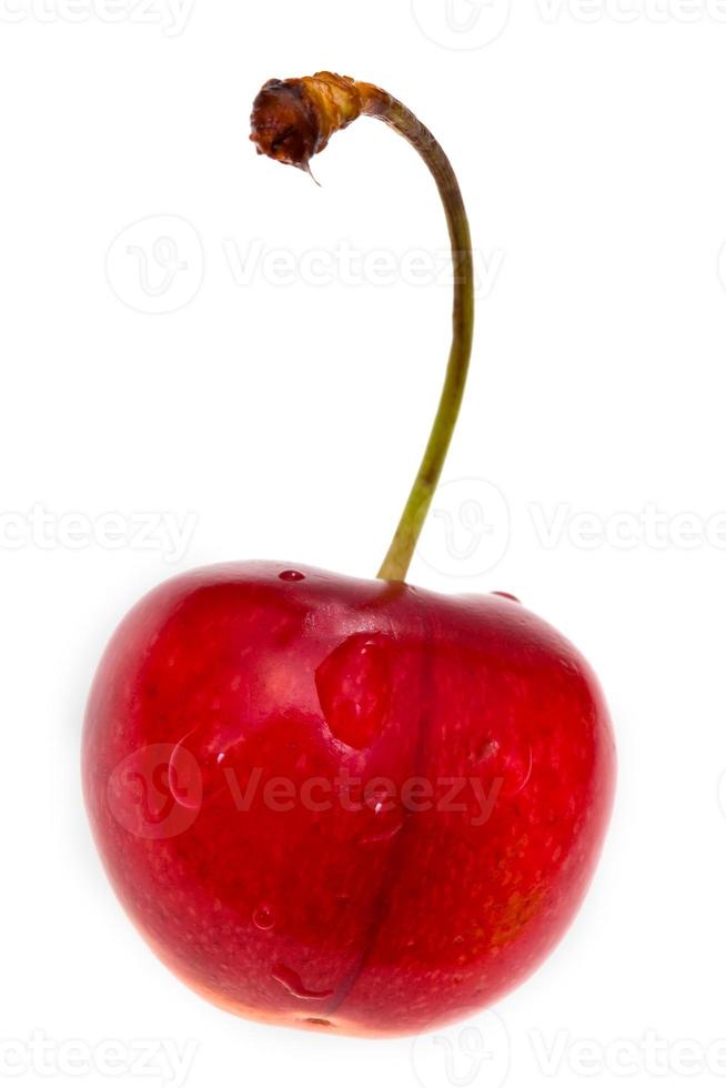 uma cereja doce vermelha isolada foto