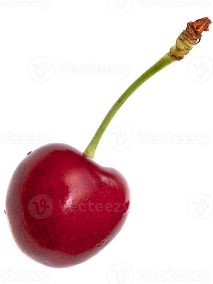 uma cereja doce vermelha foto