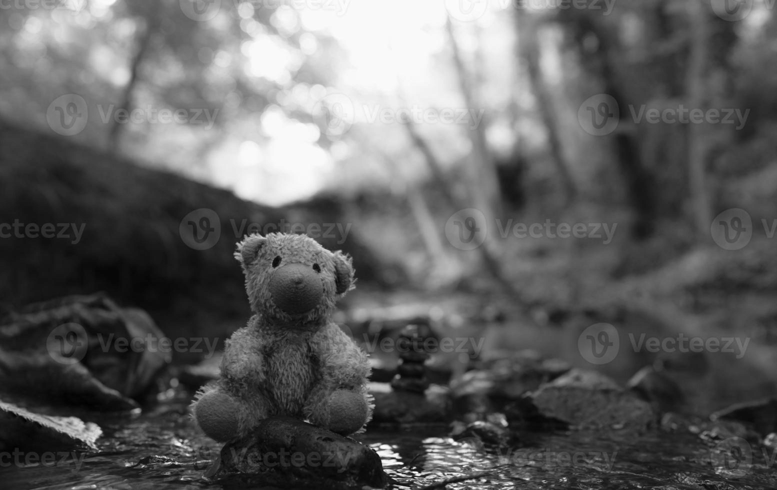 urso de pelúcia perdido preto e branco sentado na pedra de pedra pelo córrego do rio, boneca de urso de rosto solitário e triste sentado sozinho na floresta, brinquedo perdido, solidão, conceito de dia internacional das crianças desaparecidas foto