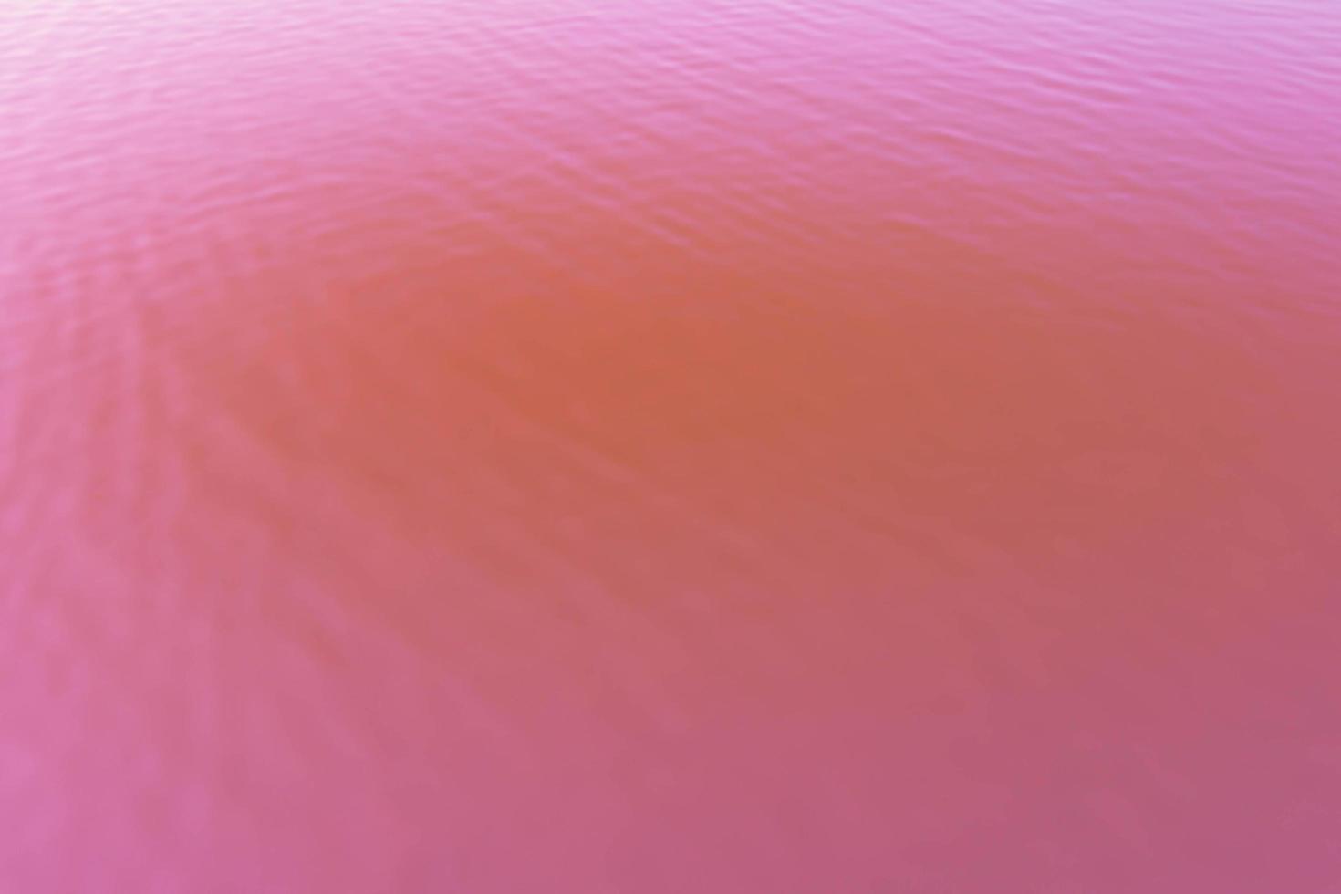 superfície de água rosa foto